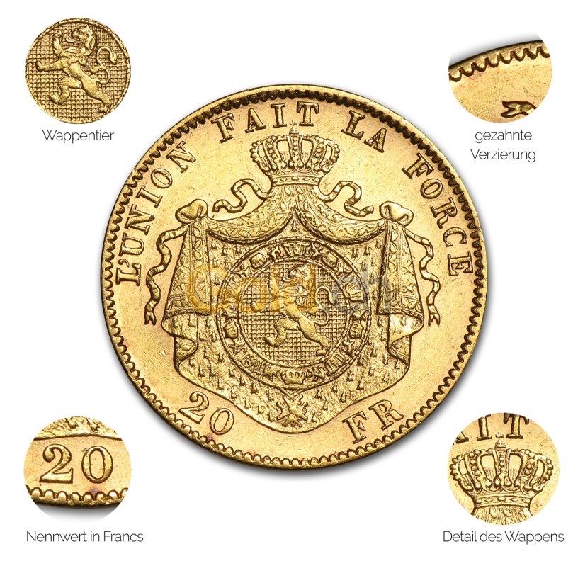 Goldmünze 20 Francs Leopold II - Details des Avers
