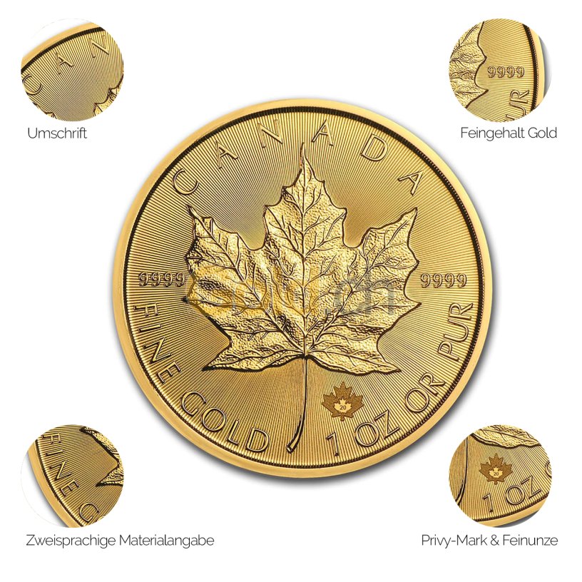 Goldmünze Maple Leaf - Details des Revers
