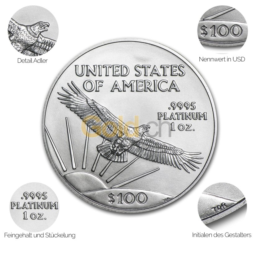 Platinmünze American Platinum Eagle - Details des Avers