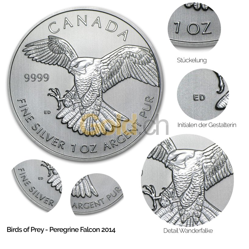 Details der Silbermünze Birds of Prey: Peregrine Falcon