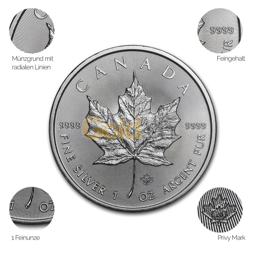 Silbermünze Maple Leaf - Details des Revers