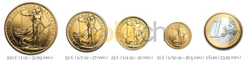 Größenvergleich Britannia Goldmünze mit 1 Euro-Stück