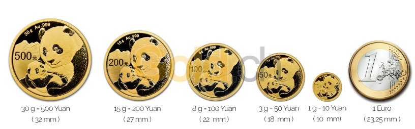 Größenvergleich China Panda Goldmünze mit 1 Euro-Stück