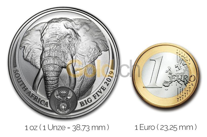 Größenvergleich Big Five Serie Silbermünze mit 1 Euro-Stück