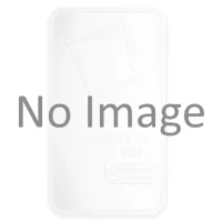 250 Gramm Platinbarren kaufen