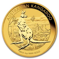 Australian Kangaroo 2014