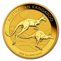 Australian Kangaroo 2018