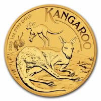 Australian Kangaroo 2025