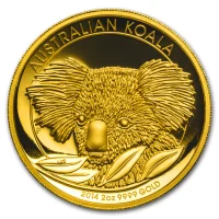 Koala 2014
