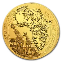 African Giraffe (2018)