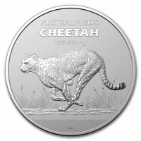 Cheetah (2021)