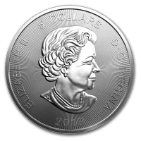 Predator Serie Silbermünzen kaufen