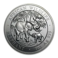 Somalia Elephant 2007