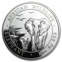 Somalia Elephant 2015