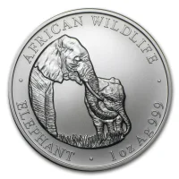 Zambia Elephant 2001